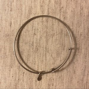 Alex and Ani silver textured adjustable bangle bracelet.